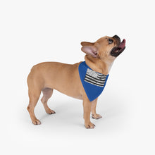 Load image into Gallery viewer, Distressed Flag Pet Bandana
